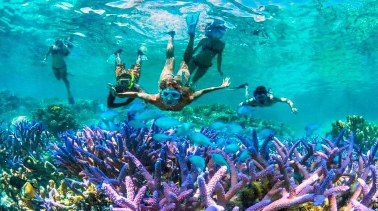 PengalamanSnorkelingdiGiliTrawangan,Lombok