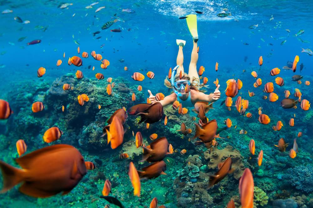 snorkeling-gili-meno